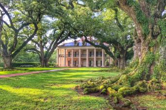 Swamp Boat Ride & Oak Alley Plantation Tour from New Orleans