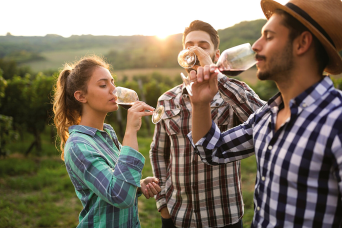Deluxe Napa & Sonoma Valley Wine Country Tour